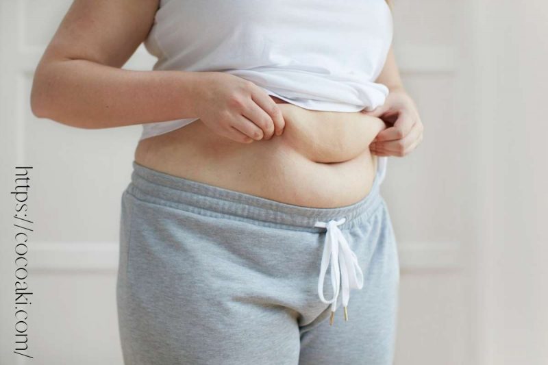 40代で太る女性の共通点 どんどん太る7つ理由！今日からできる対策 ダイエット バストケア スキンケのレビューサイト